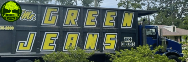 Mr Green Jeans Tree Service